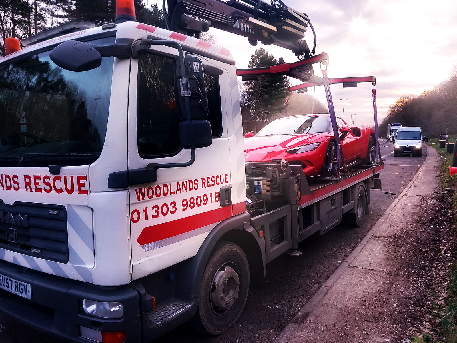 Woodlands Rescue profile